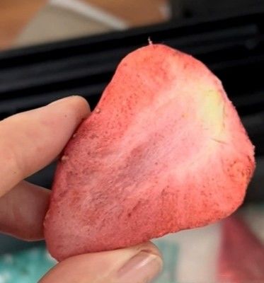 大規模な果物・野菜加工用の真空冷凍乾燥機