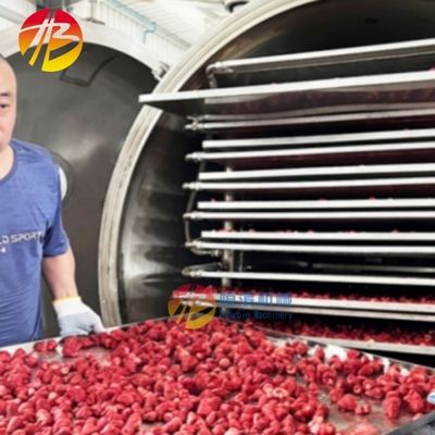高生産性の食品と野菜の真空冷凍乾燥装置 批量30kg