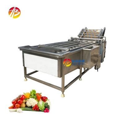 製造工場 304 ステンレス 果物・野菜洗濯機