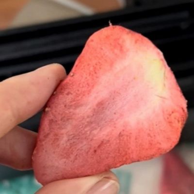 200kg / バッチ 高生産性の商業用冷凍乾燥機 操作が簡単
