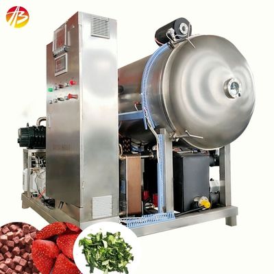 フルーツと野菜の真空冷凍乾燥機 21平方メートルのパレット面積